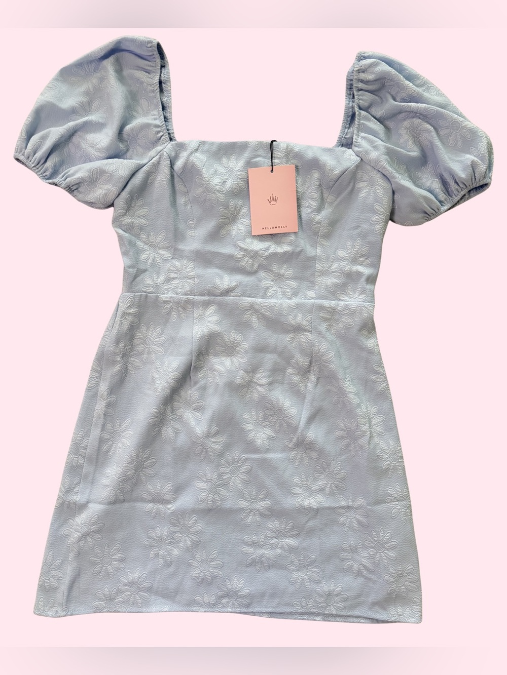 NWT Hello Molly Pastel Blue Embroidered Mini Dress